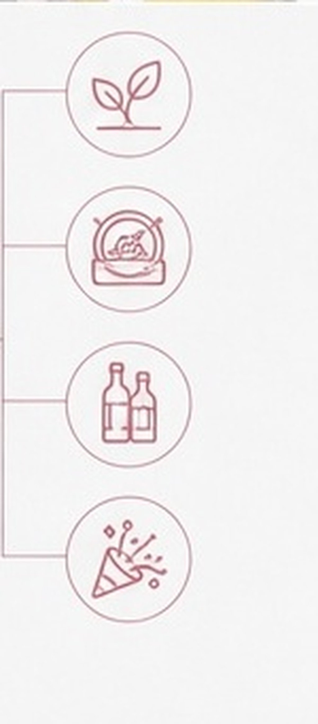 5 stuks hoogwaardige siliconen - Wine Beer Hat recensie en prijs
